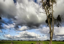 狗子28：完成英格兰队首秀，丹-伯恩和斯凯利获赠纪念帽子.