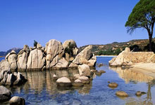 共享亚运红利 “无碍”出行步履不停央视新闻客户端.